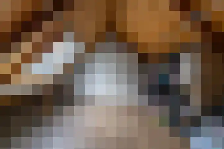 Tegenhouder 47 Sappemeer thumbnail 19