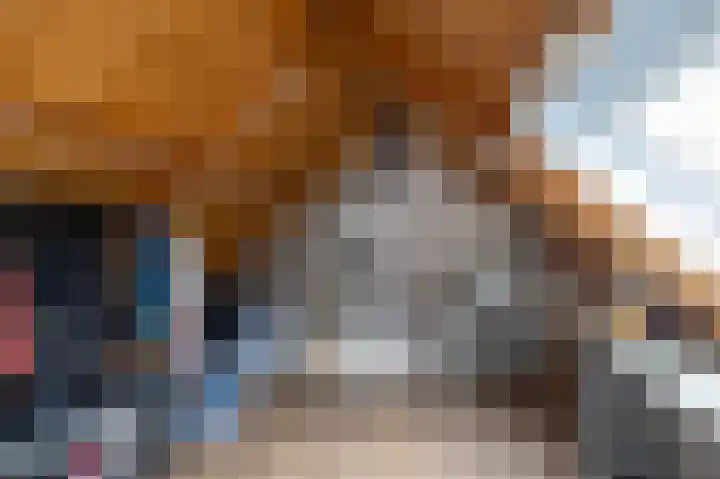 Tegenhouder 47 Sappemeer thumbnail 20