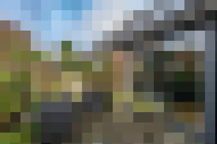 Tegenhouder 47 Sappemeer thumbnail 21