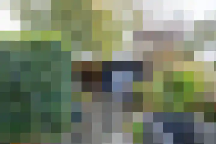Tegenhouder 47 Sappemeer thumbnail 23