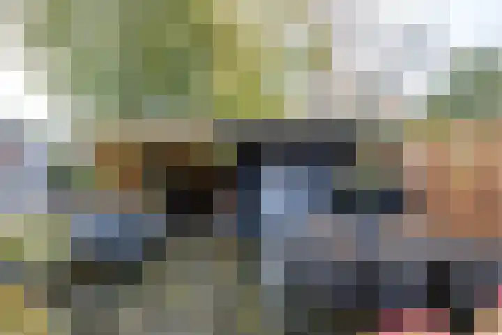 Tegenhouder 47 Sappemeer thumbnail 24