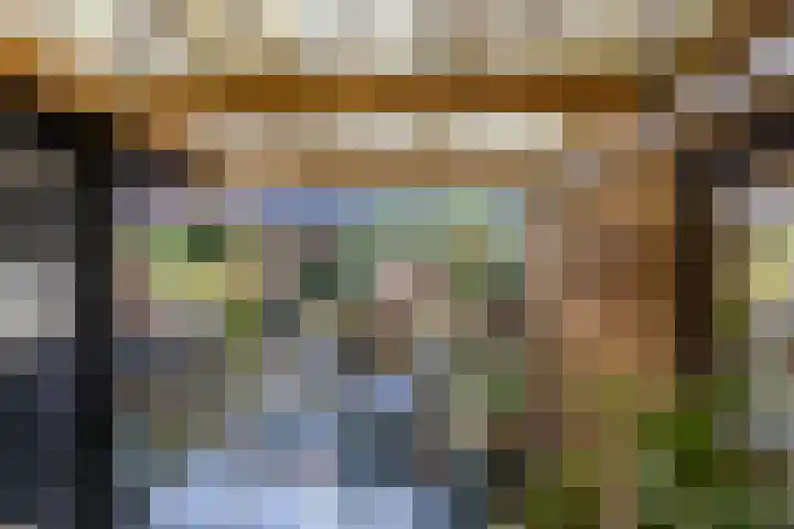 Tegenhouder 47 Sappemeer thumbnail 25