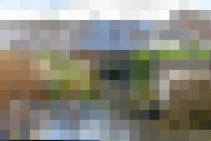 Tegenhouder 47 Sappemeer thumbnail 26