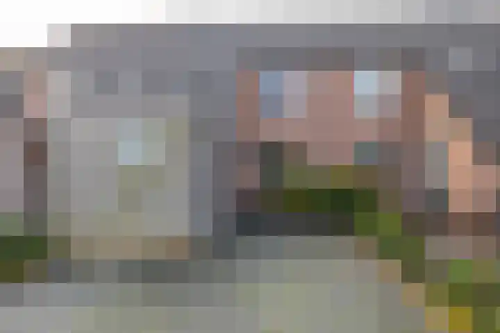 Tegenhouder 47 Sappemeer thumbnail 27
