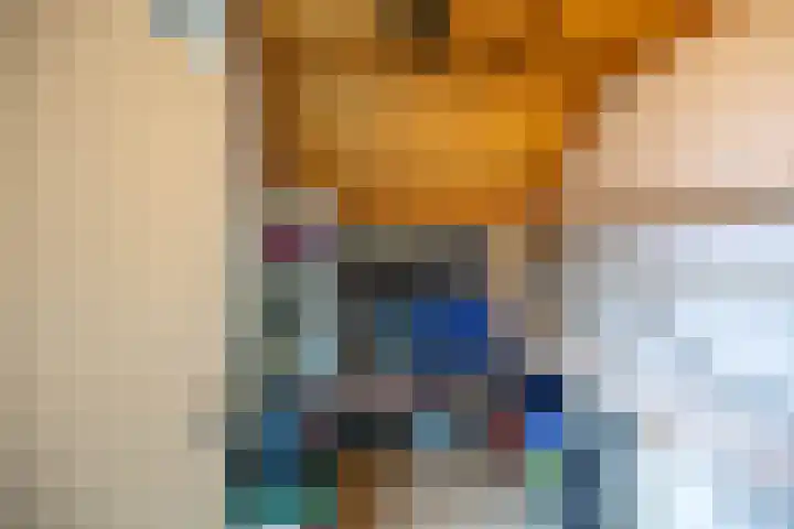 Tegenhouder 47 Sappemeer thumbnail 28