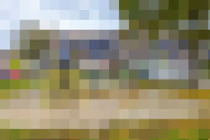 Tegenhouder 47 Sappemeer thumbnail 29