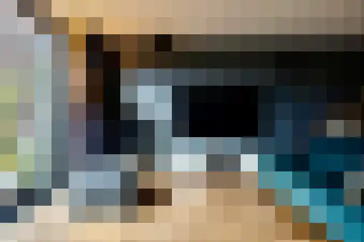 Tegenhouder 47 Sappemeer thumbnail 5