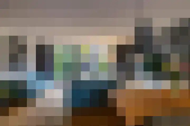Tegenhouder 47 Sappemeer thumbnail 6
