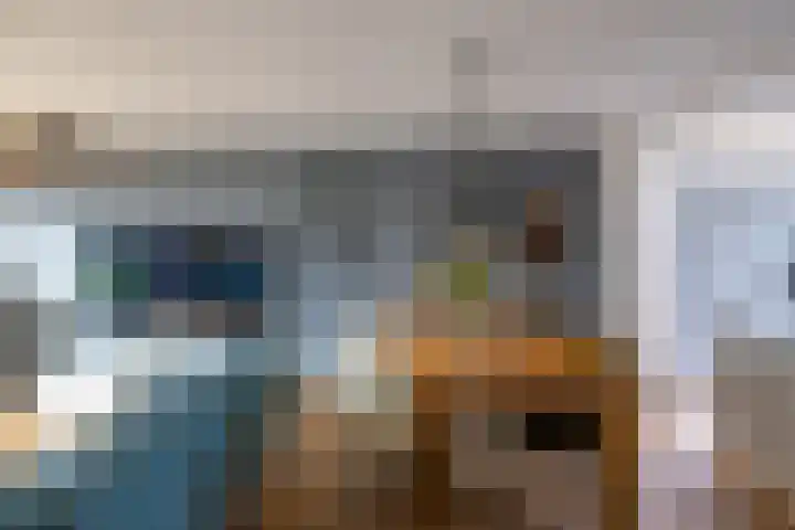Tegenhouder 47 Sappemeer thumbnail 7