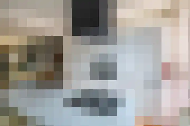 Tegenhouder 47 Sappemeer thumbnail 8