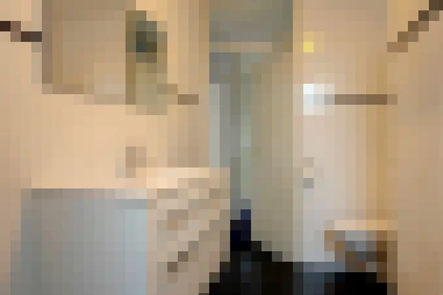 Tegenhouder 49 Sappemeer thumbnail 22
