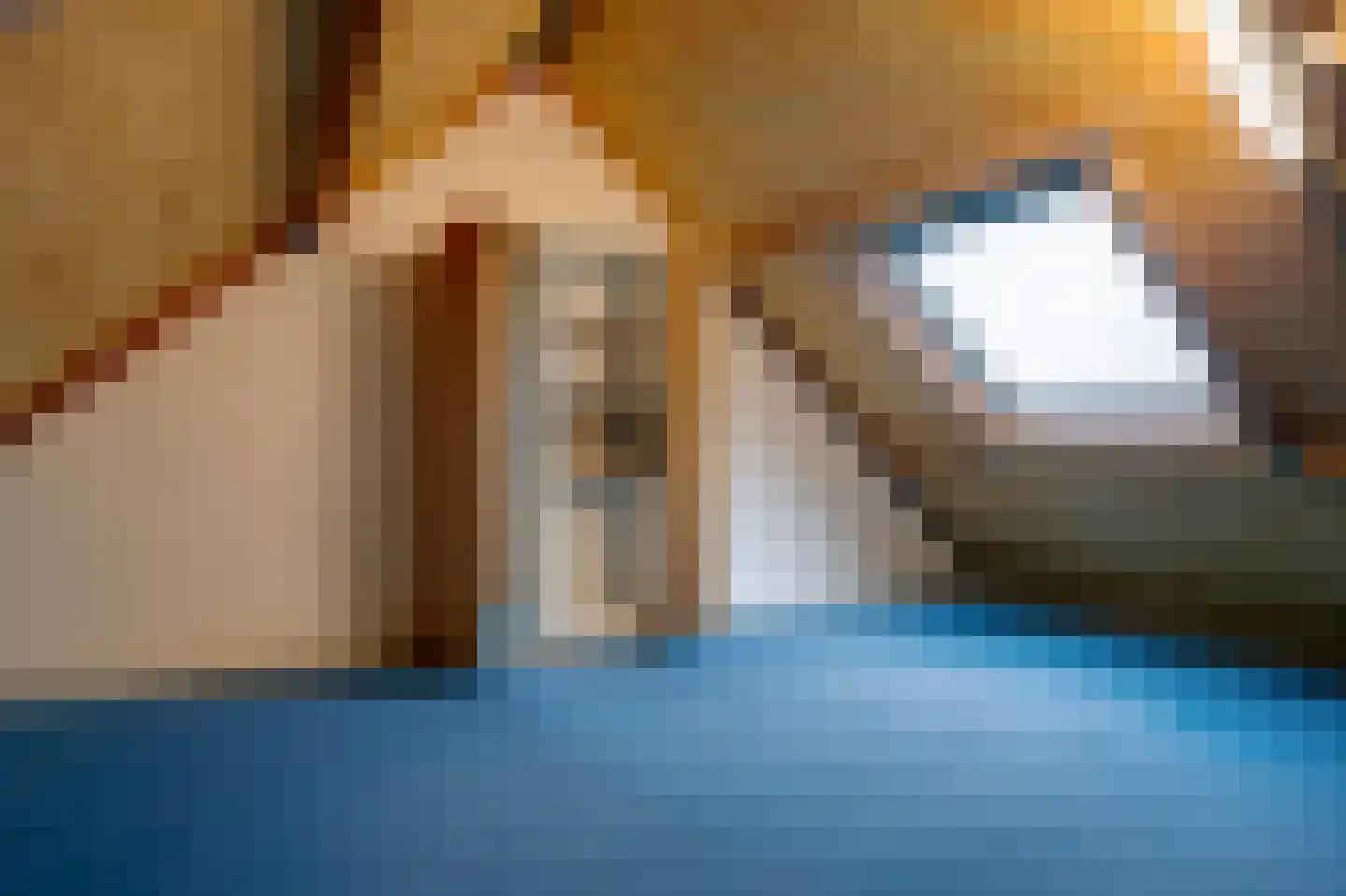Tegenhouder 49 Sappemeer thumbnail 25