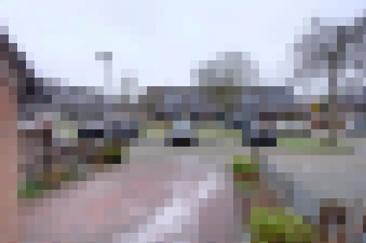 Tegenhouder 49 Sappemeer thumbnail 4