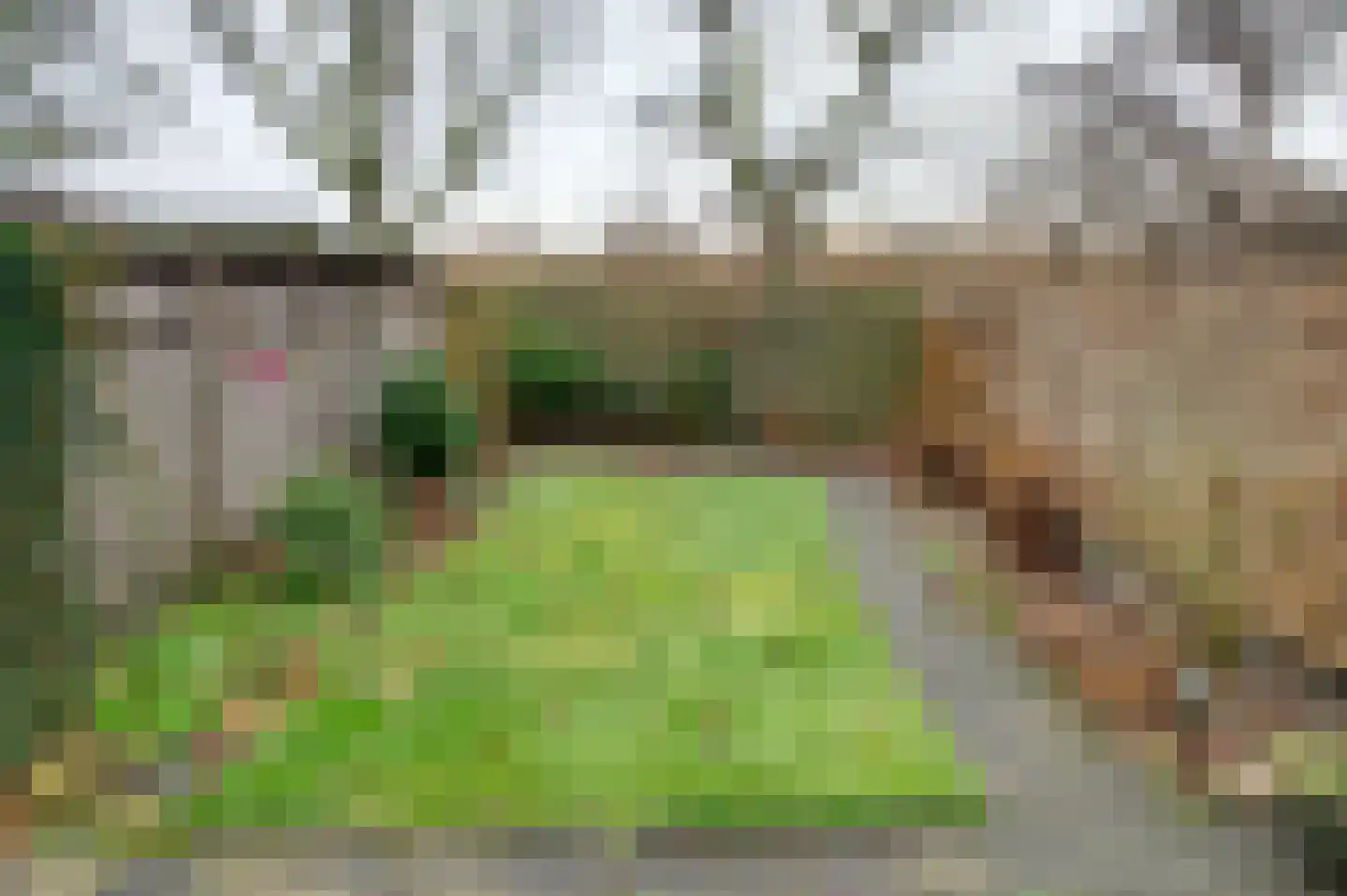 Tegenhouder 49 Sappemeer thumbnail 6