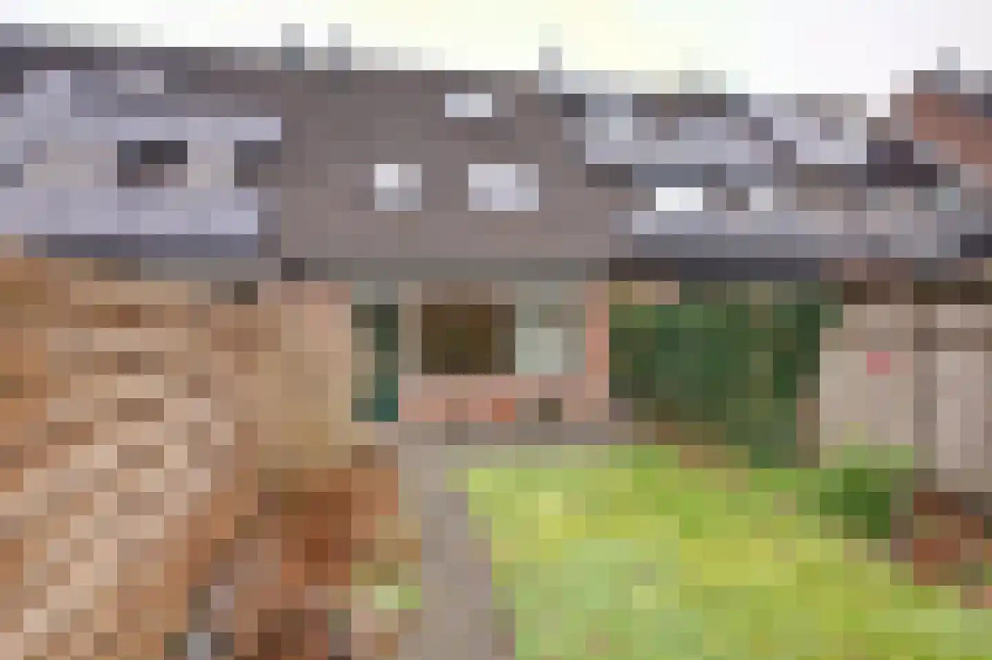 Tegenhouder 49 Sappemeer thumbnail 7