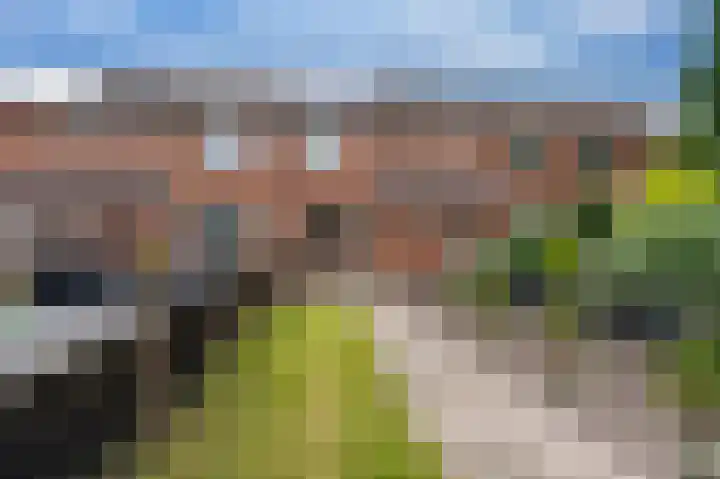 Tegenhouder 6 dans Sappemeer