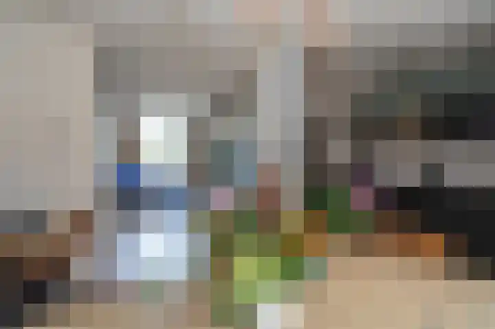 Tegenhouder 6 Sappemeer thumbnail 11