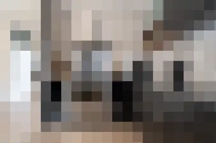 Tegenhouder 6 Sappemeer thumbnail 13
