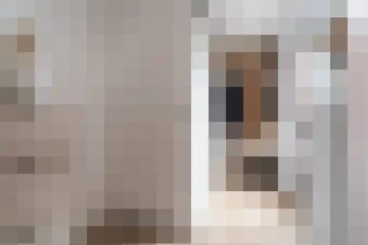 Tegenhouder 6 Sappemeer thumbnail 15