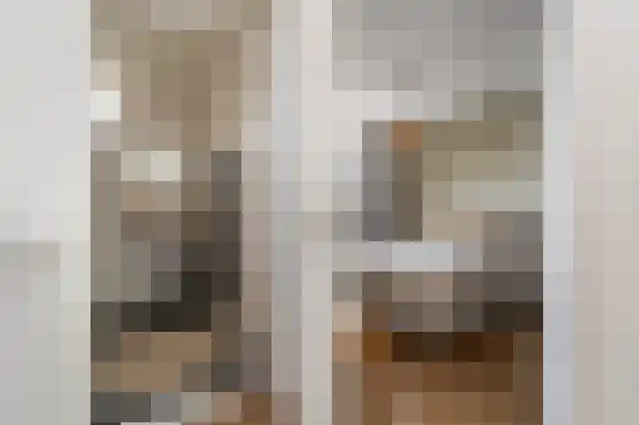 Tegenhouder 6 Sappemeer thumbnail 17