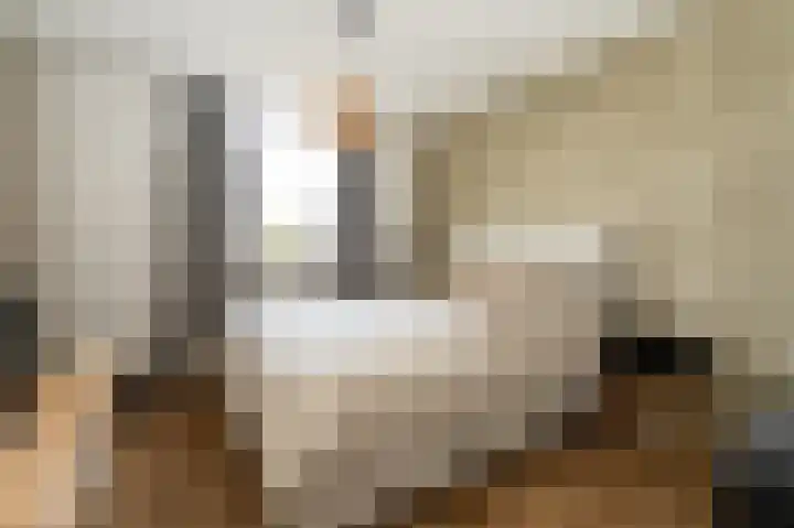 Tegenhouder 6 Sappemeer thumbnail 18