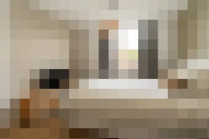 Tegenhouder 6 Sappemeer thumbnail 19
