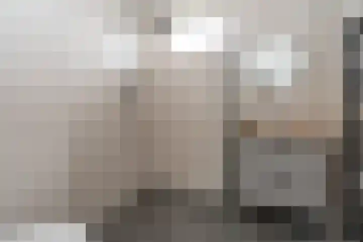 Tegenhouder 6 Sappemeer thumbnail 21