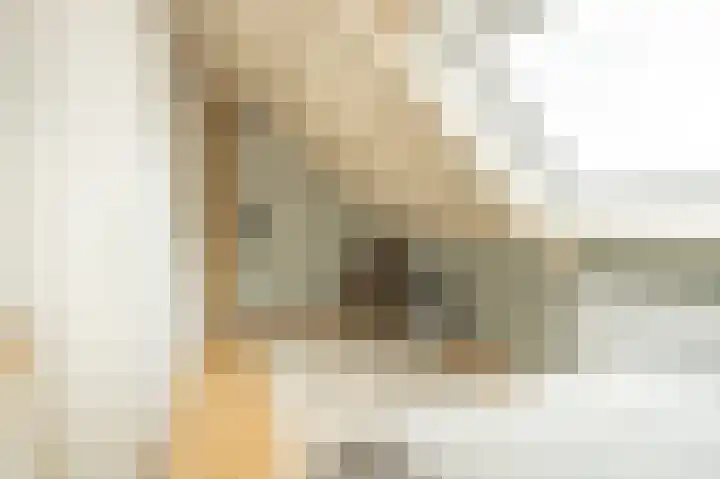 Tegenhouder 6 Sappemeer thumbnail 23