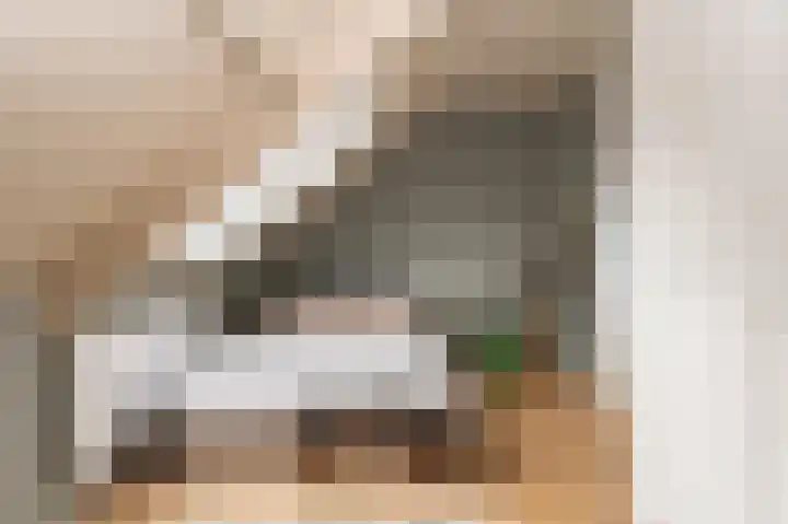 Tegenhouder 6 Sappemeer thumbnail 24