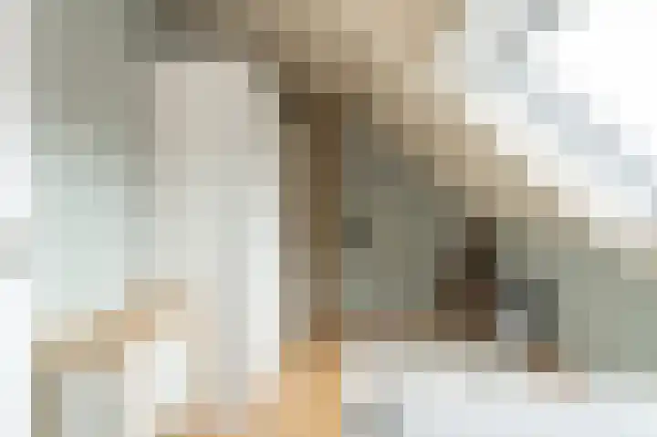Tegenhouder 6 Sappemeer thumbnail 25
