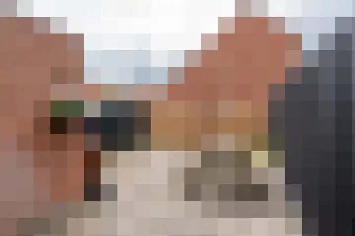 Tegenhouder 6 Sappemeer thumbnail 28