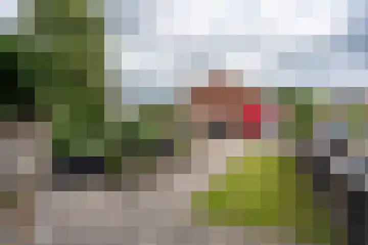 Tegenhouder 6 Sappemeer thumbnail 29