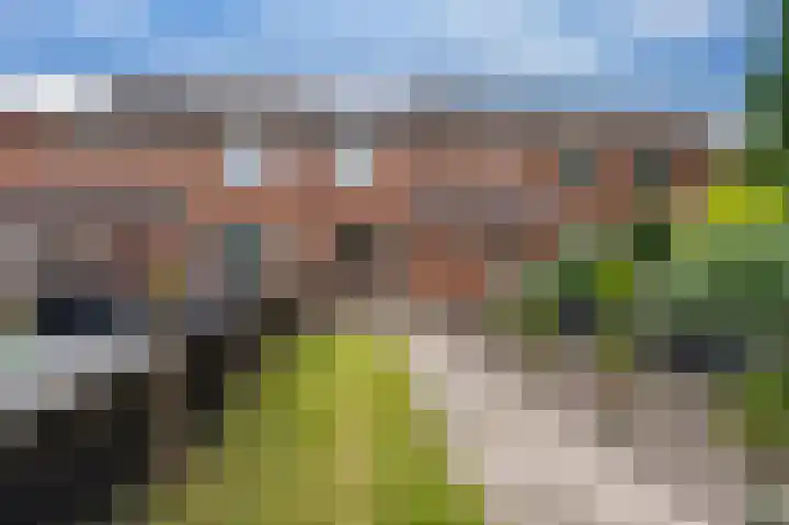 Tegenhouder 6 Sappemeer thumbnail 33