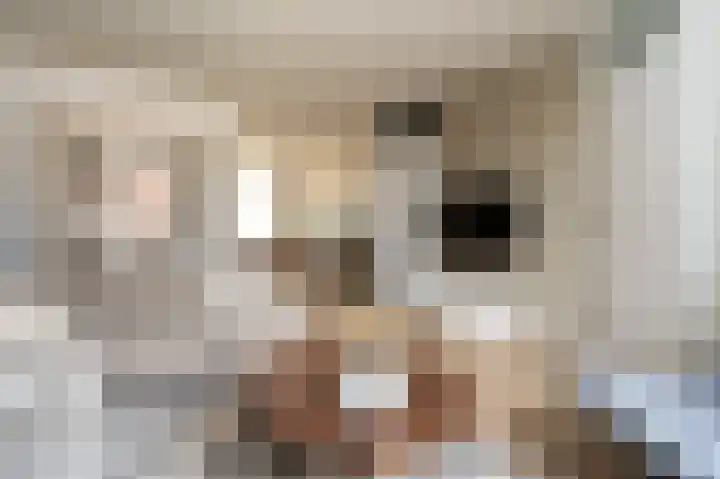 Tegenhouder 6 Sappemeer thumbnail 4