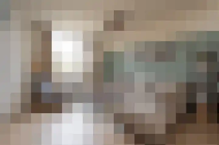 Tegenhouder 6 Sappemeer thumbnail 5
