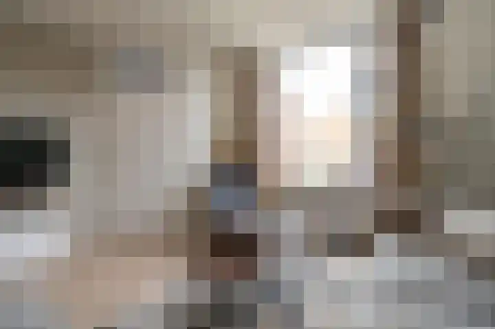 Tegenhouder 6 Sappemeer thumbnail 6