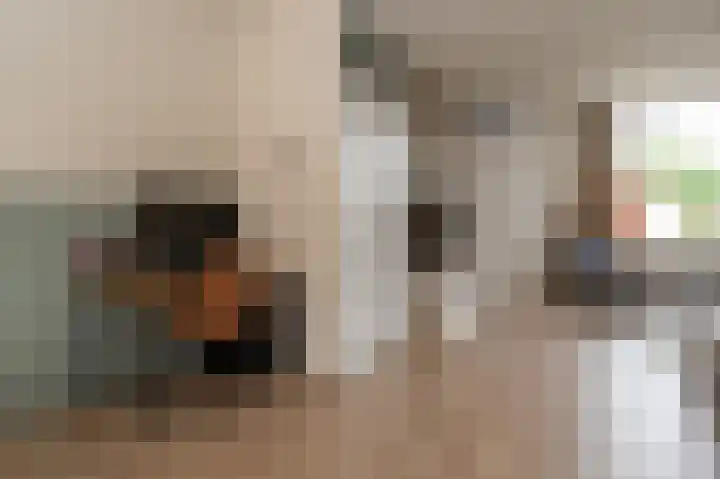 Tegenhouder 6 Sappemeer thumbnail 8