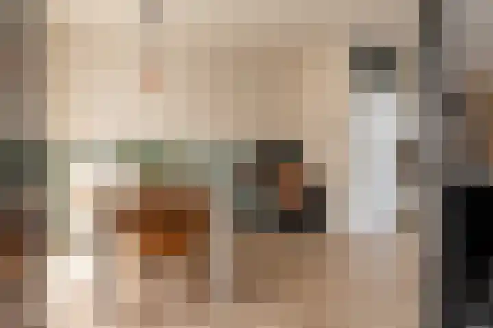 Tegenhouder 6 Sappemeer thumbnail 9