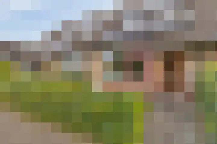 Tegenhouder 7 Sappemeer