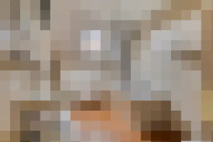 Tegenhouder 7 Sappemeer thumbnail 19