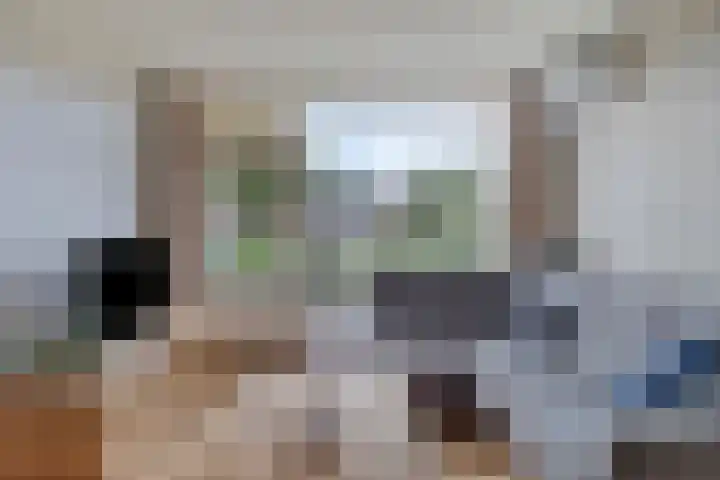 Tegenhouder 7 Sappemeer foto 3