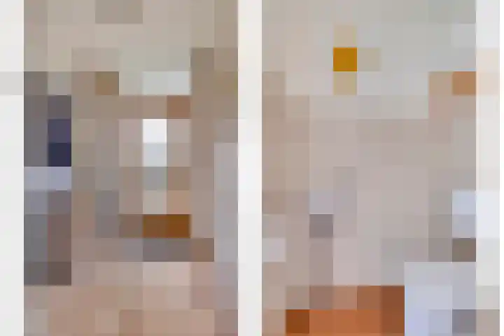 Tegenhouder 7 Sappemeer thumbnail 7