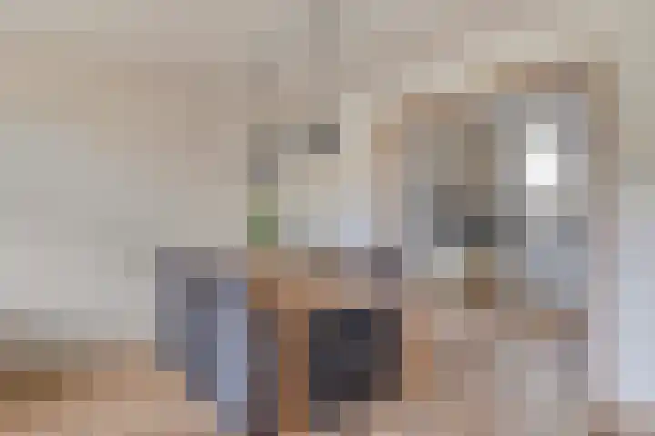 Tegenhouder 7 Sappemeer thumbnail 8