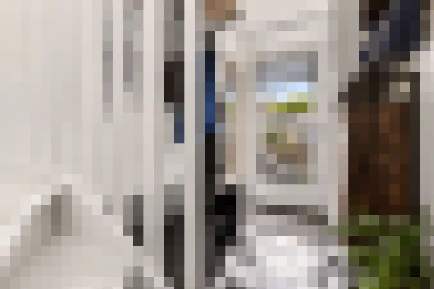 Tegenhouderstraat 10 Amsterdam thumbnail 20