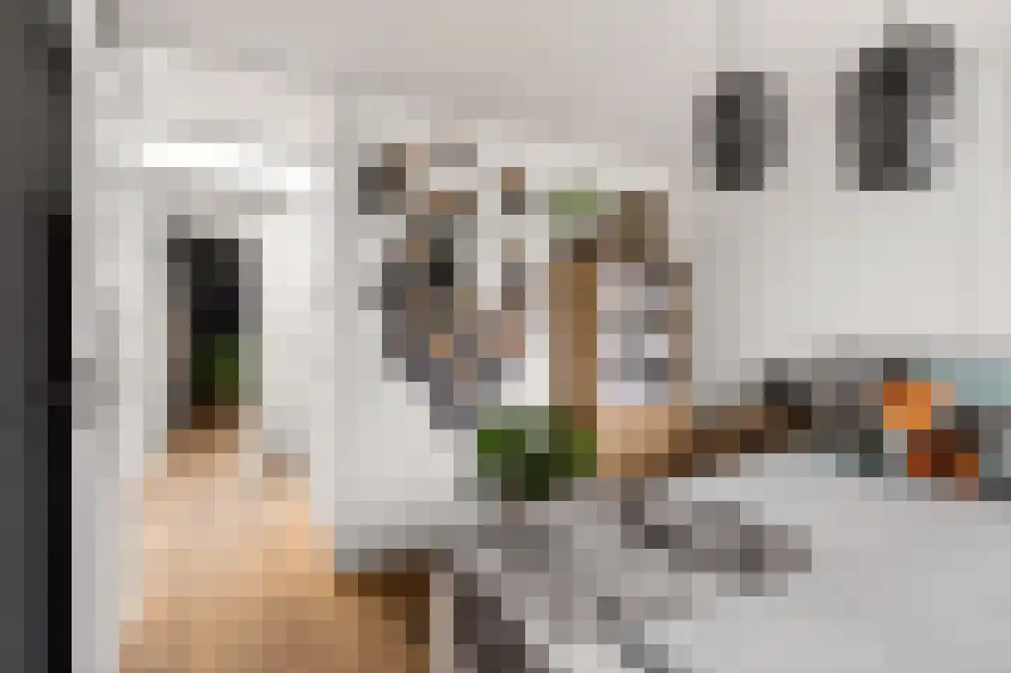 Tegenhouderstraat 10 Amsterdam thumbnail 25