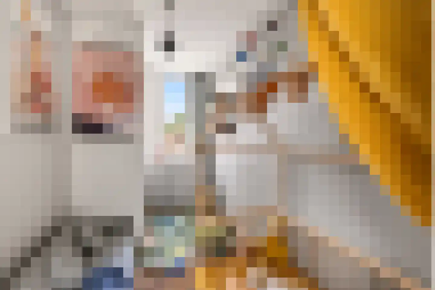 Tegenhouderstraat 10 Amsterdam thumbnail 31