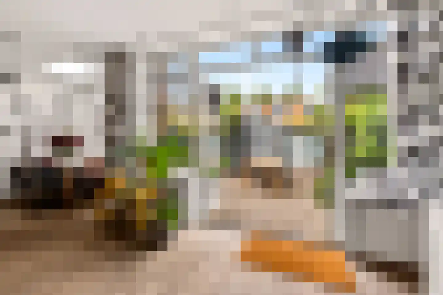 Tegenhouderstraat 10 Amsterdam thumbnail 6