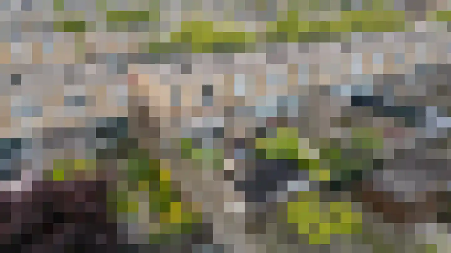 Tegenhouderstraat 10 Amsterdam thumbnail 9