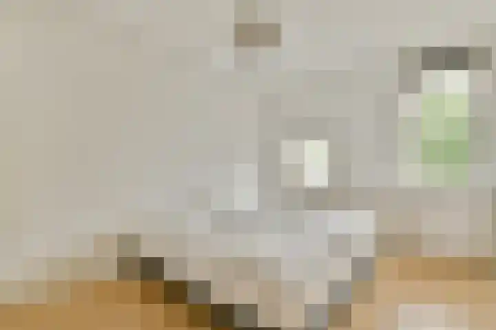 Tegenhouderstraat 51 Amsterdam thumbnail 16