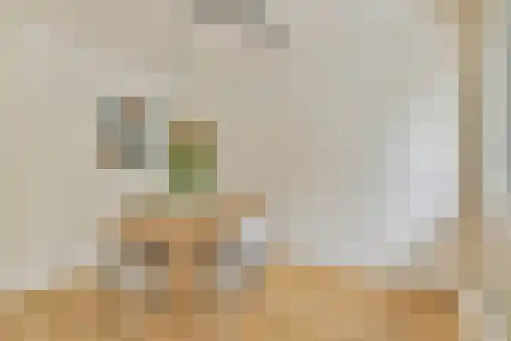 Tegenhouderstraat 51 Amsterdam thumbnail 9